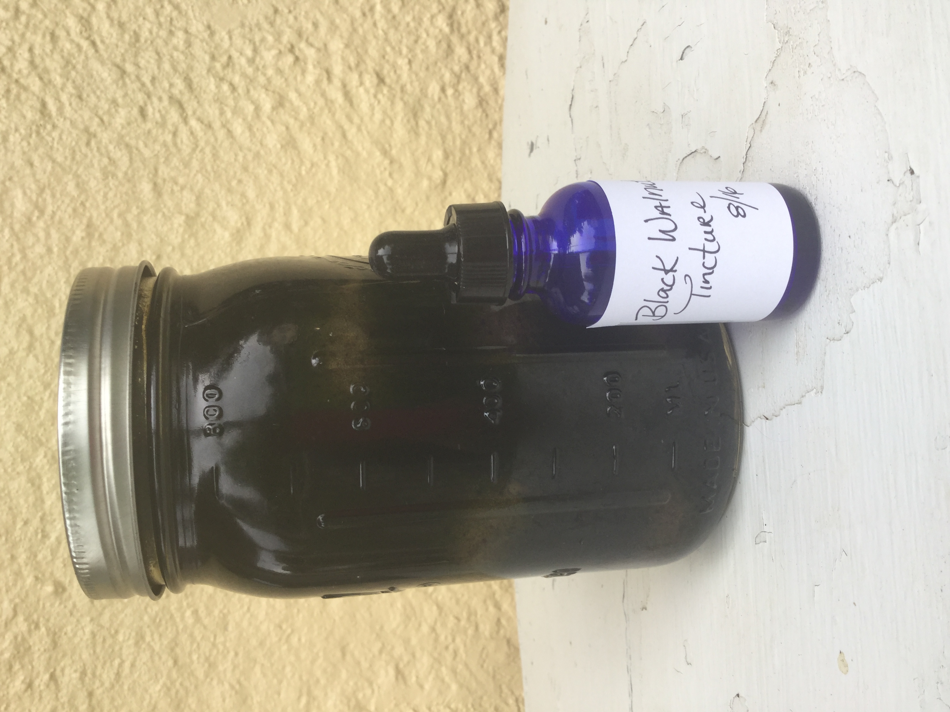 How To Make A Black Walnut Tincture My Healthy Homemade Life My Healthy Homemade Life