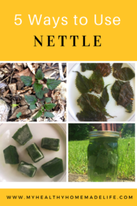 nettle foraging myhealthyhomemadelife