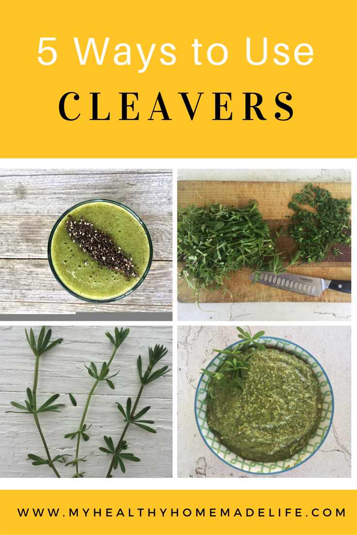 5-ways-to-use-fresh-cleavers-as-a-spring-tonic-my-healthy-homemade-life