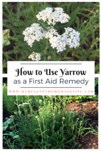 How to Use Yarrow as a First Aid Remedy - My Healthy Homemade Life