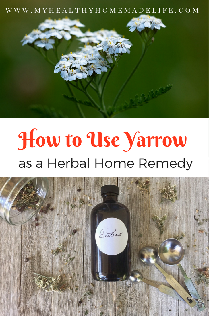 How to Use Yarrow as a Herbal Home Remedy - My Healthy Homemade Life