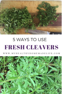 5 Ways to Use Fresh Cleavers As a Spring Tonic - My Healthy Homemade Life